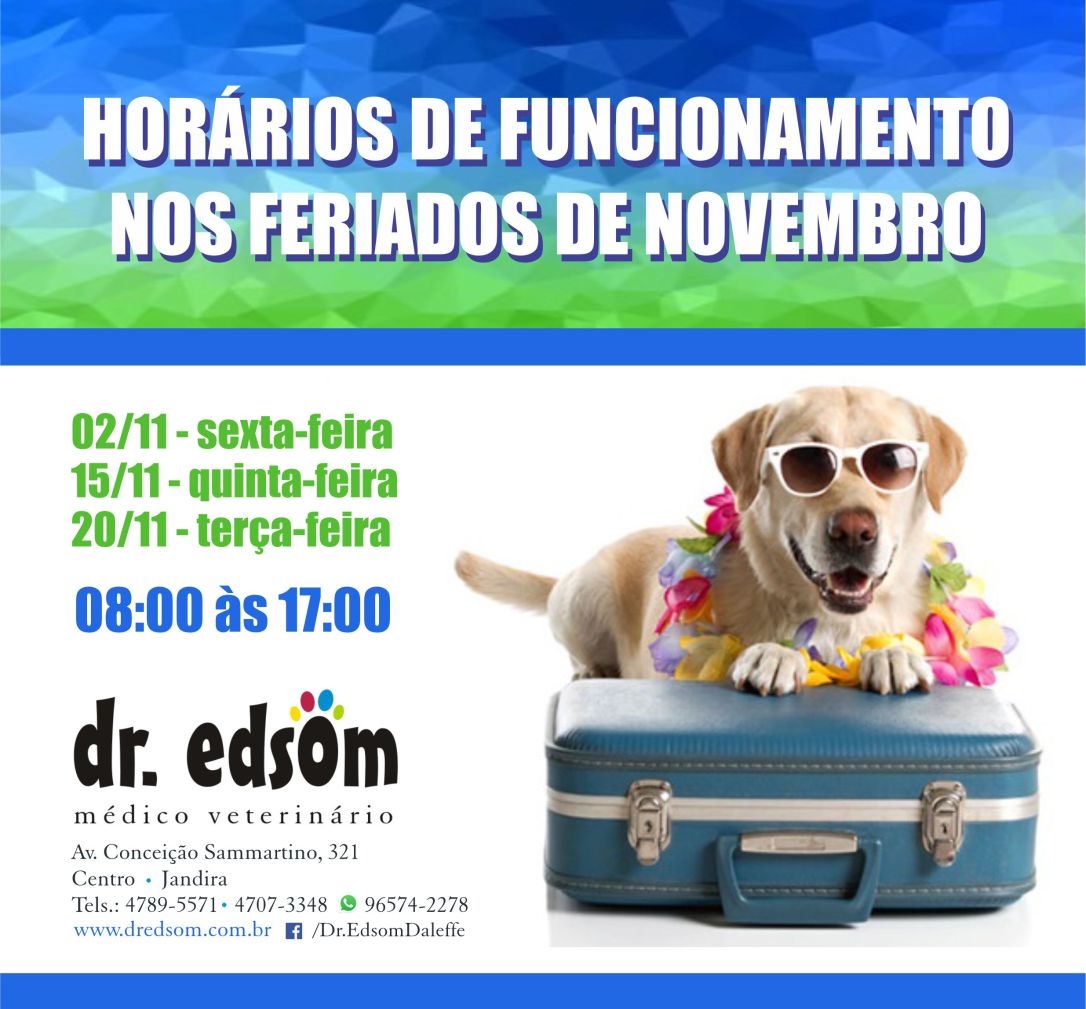 Horario nov